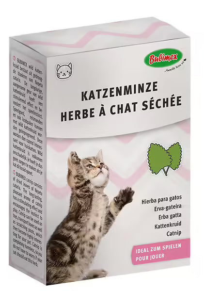 Herbe à chat Cat Nip 20g