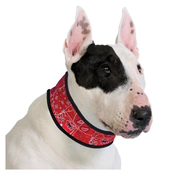Aqua Coolkeeper - Collier rafraîchissant pour chien