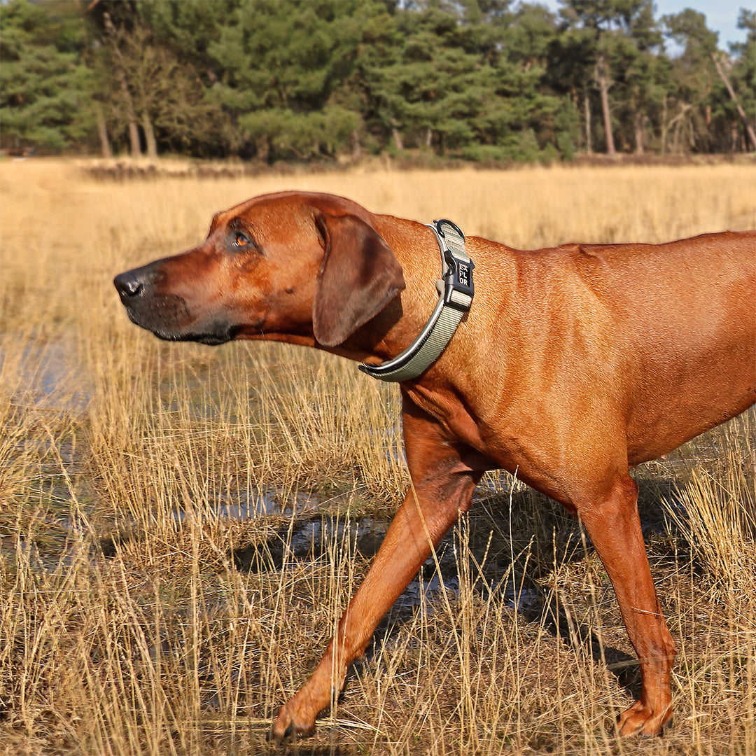 Collier ultim.comfy kaki