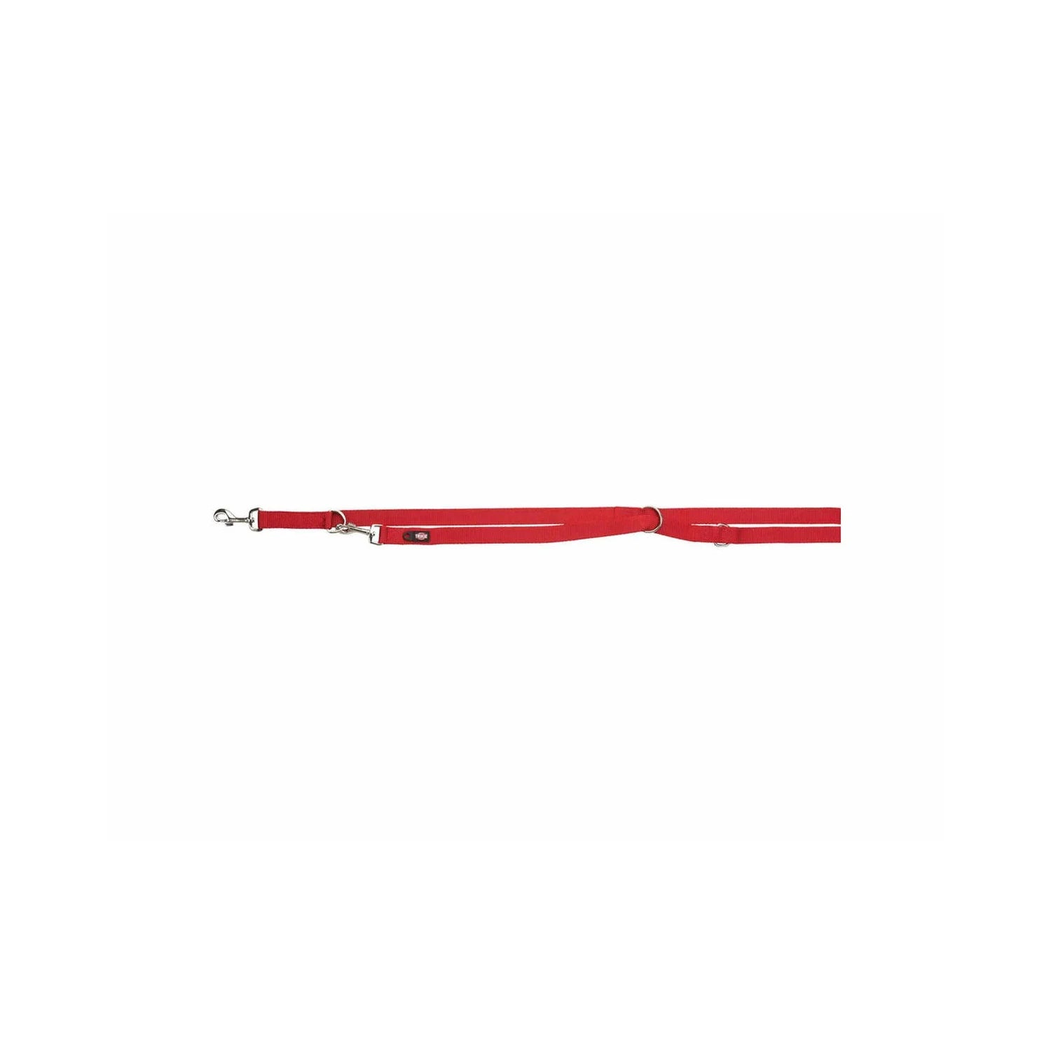 Laisse premium reglable pour chien