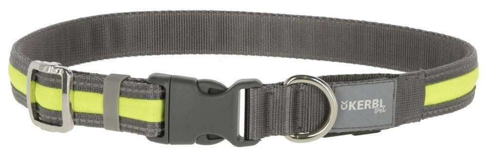 Collier light et reflex chien