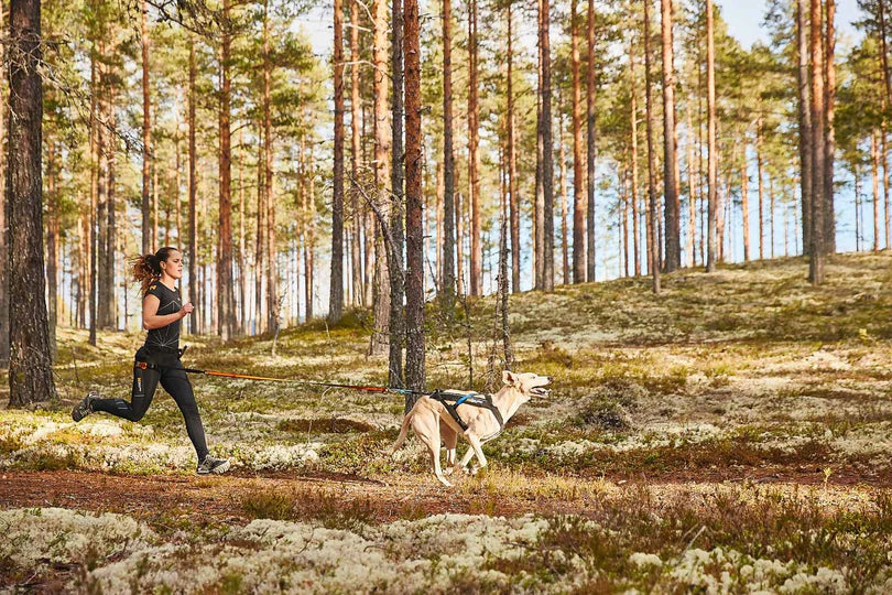 Non Stop Harnais de canicross Free Motion