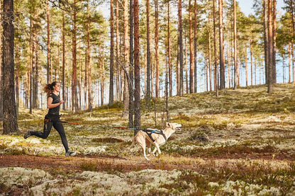 Non Stop Harnais de canicross Free Motion