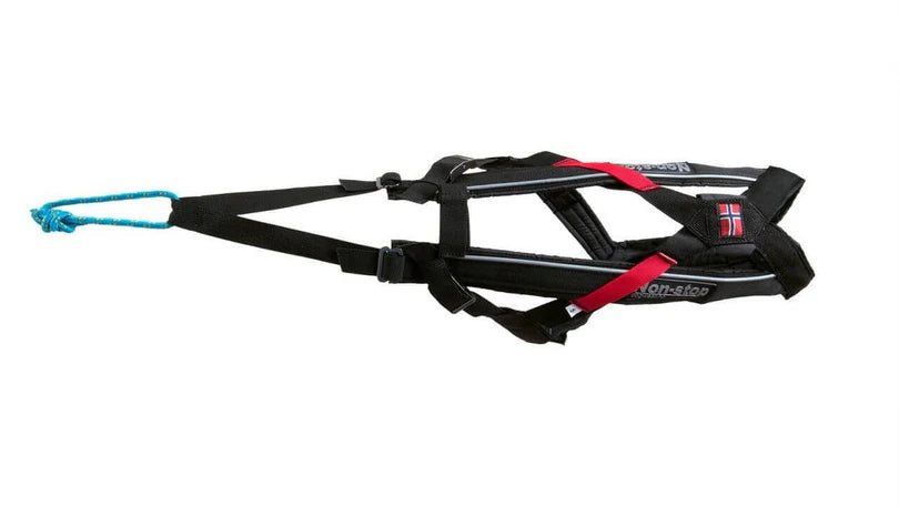 Non Stop Harnais de canicross Free Motion