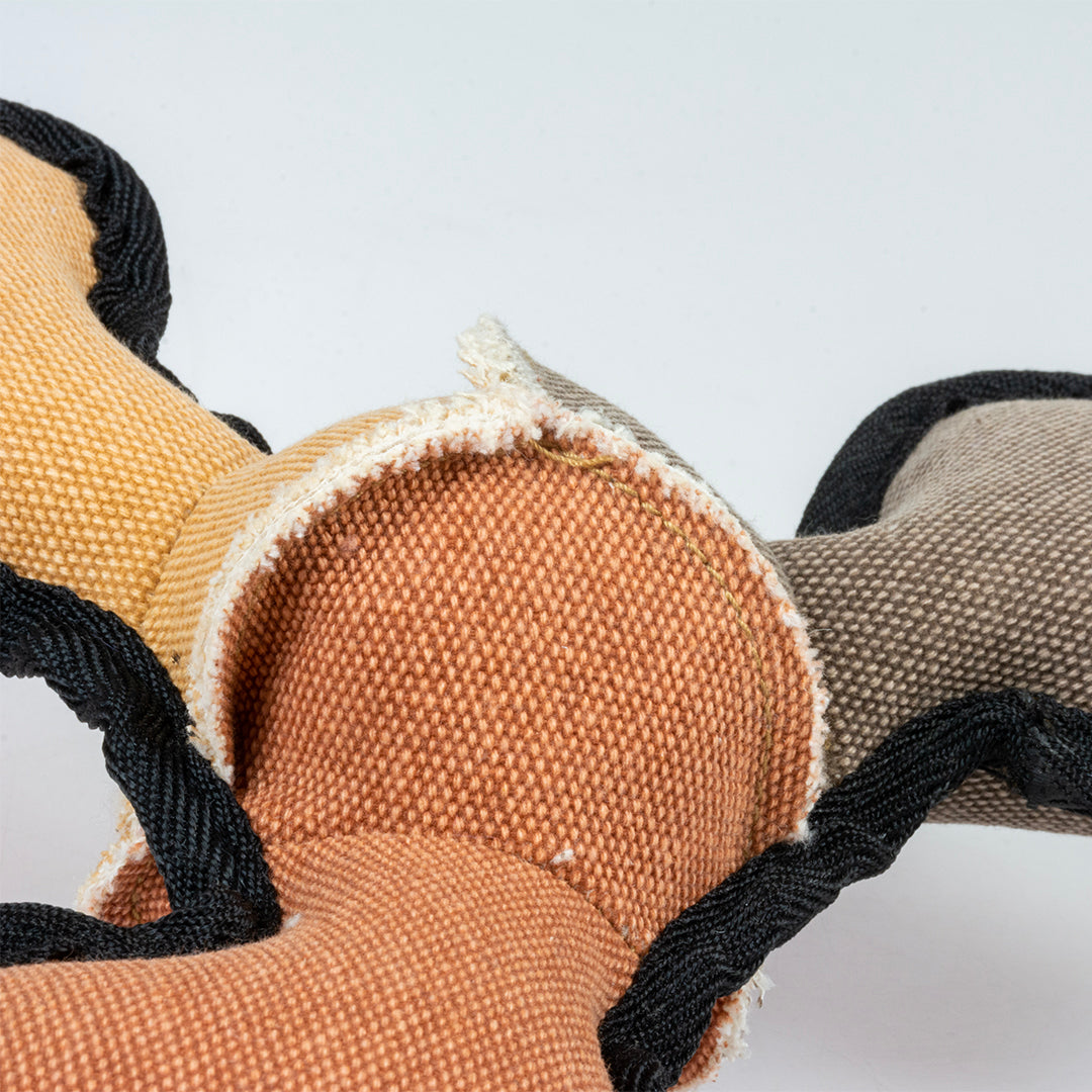 Jouet boomerang os canvas