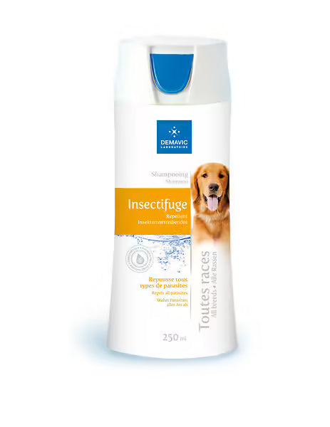 Shampoing chien insectifuge