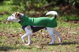Pomppa Jumppa manteau polaire pour chien Juniper