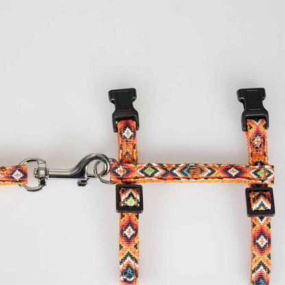 Harnais+laisse chat indian design