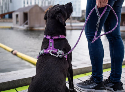 DOG COPENHAGEN - Laisse Urban Rope
