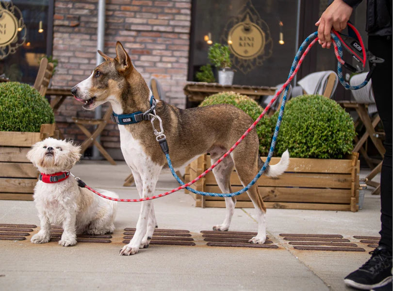 DOG COPENHAGEN - Laisse Urban Rope