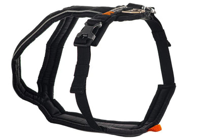 Non Stop Harnais Line