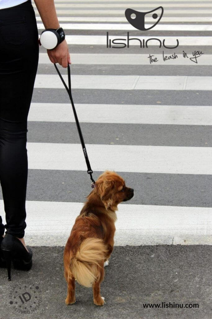Lishinu Laisse avec enrouleur pour le poignet