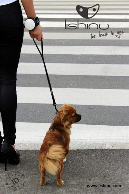 Lishinu Laisse avec enrouleur pour le poignet