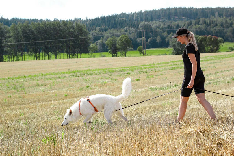 Non Stop Harnais Line