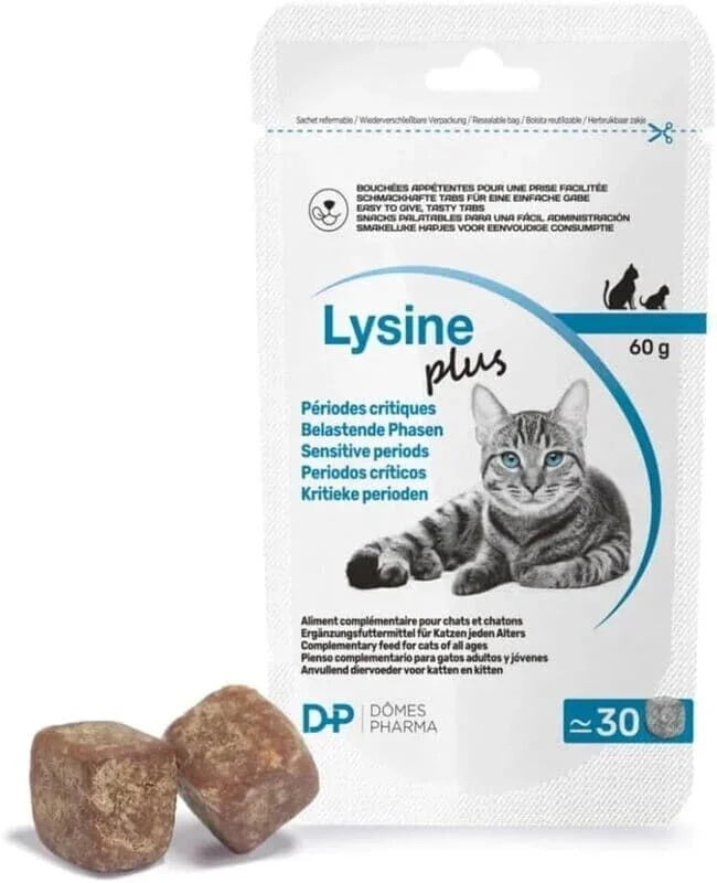 Lysine Plus