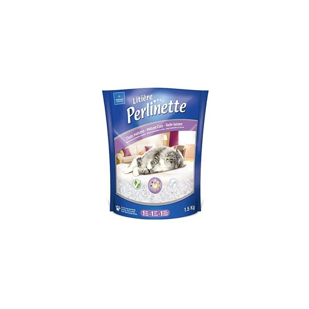 Perlinette chat mature