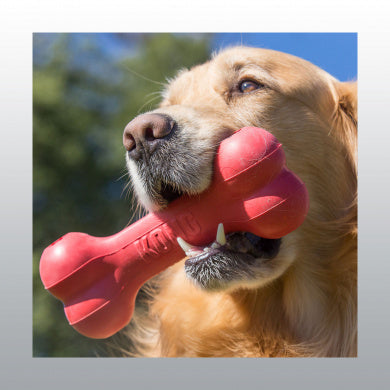 Jouet kong goodie bone noël