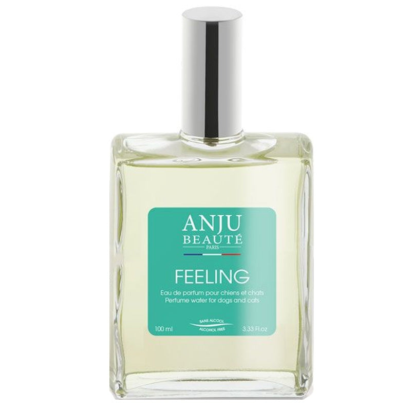 Anju Beauté-Eau de parfum Feeling