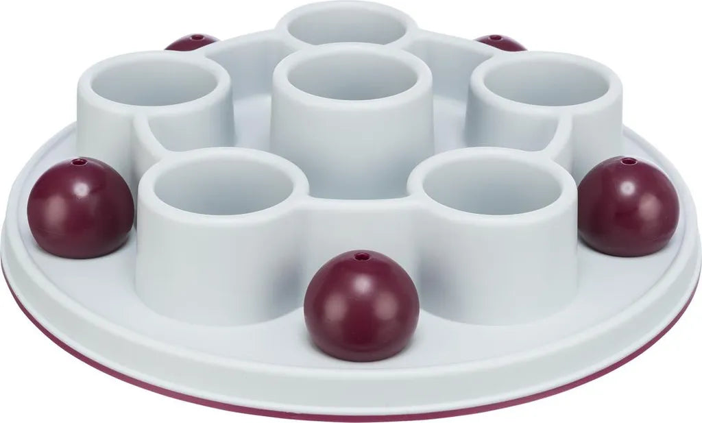 Cat Activity Pentagon