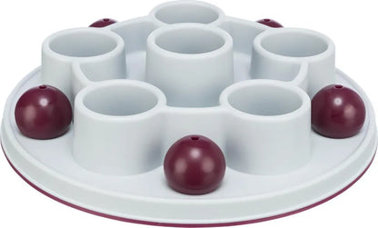 Cat Activity Pentagon