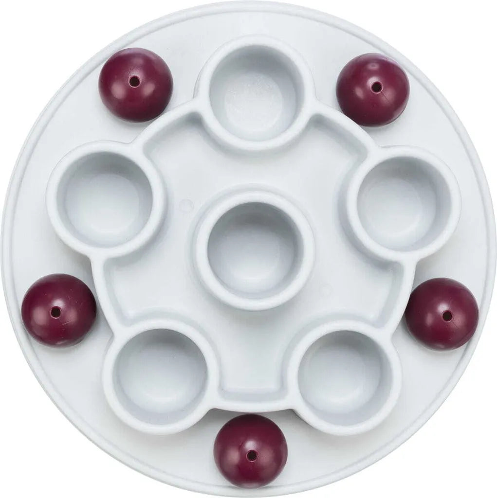 Cat Activity Pentagon