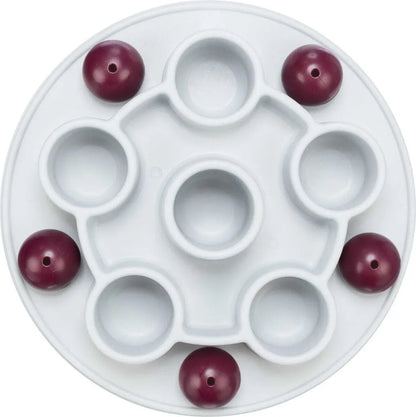 Cat Activity Pentagon