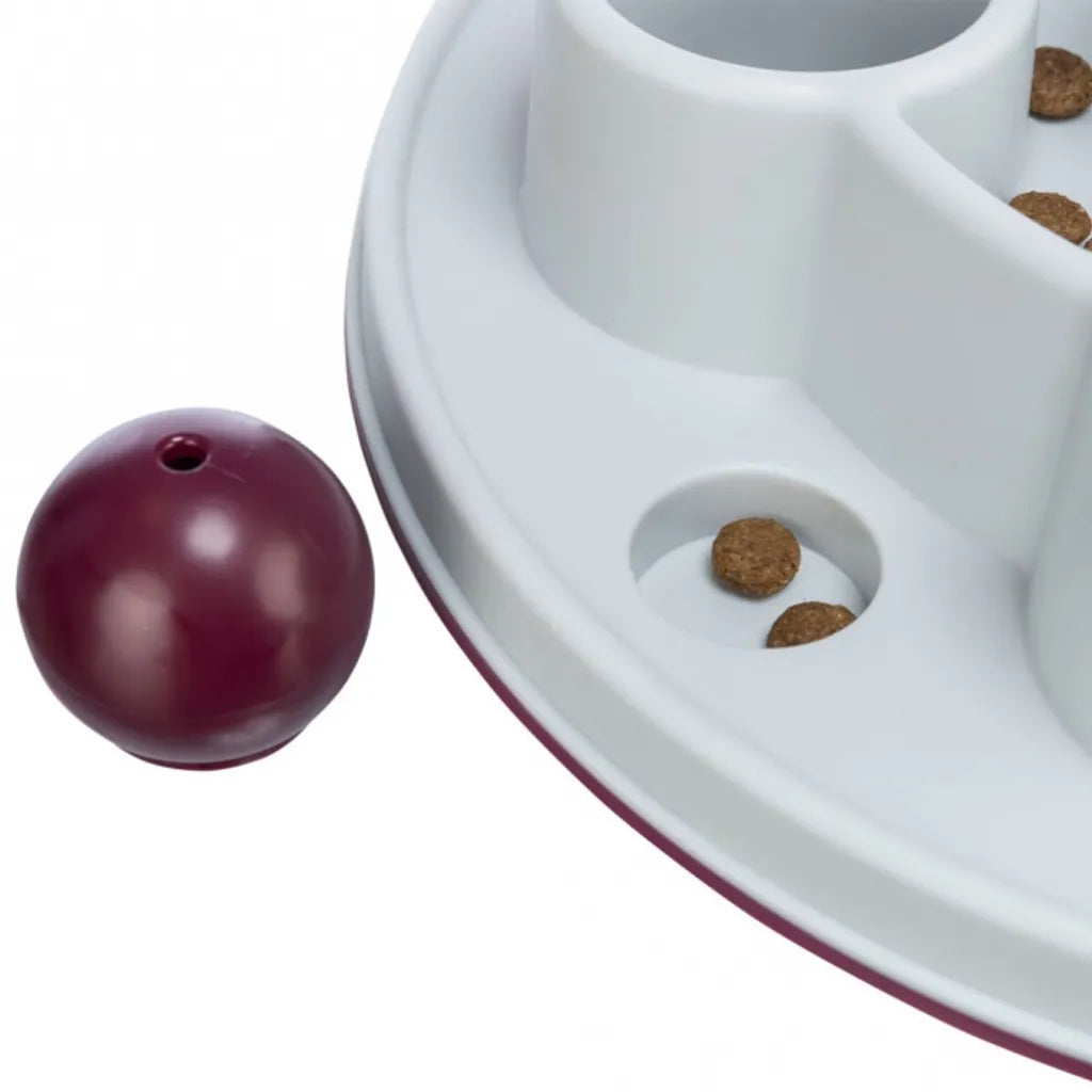 Cat Activity Pentagon