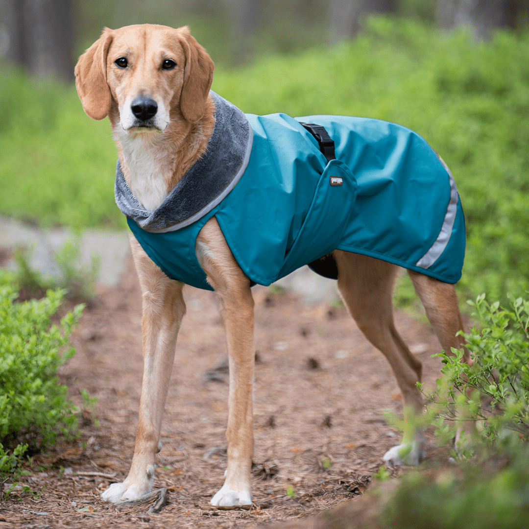 Pomppa Kevyt manteau imperméable pour chien Petrol