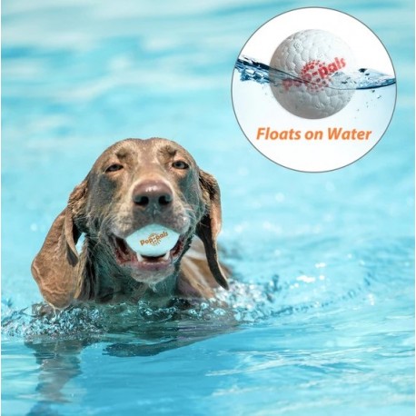 Gigwi balle ultra résistante