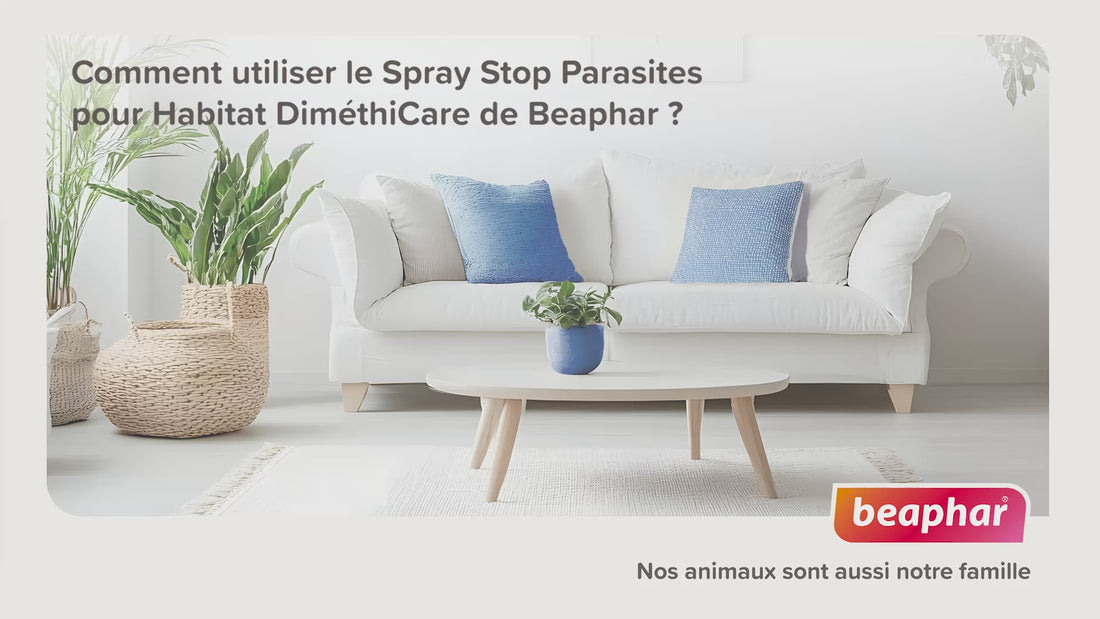 Spray DiméthiCARE Stop Parasites