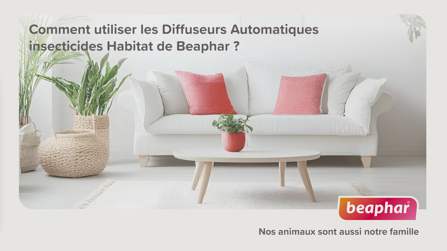 Fogger Insecticide Habitation