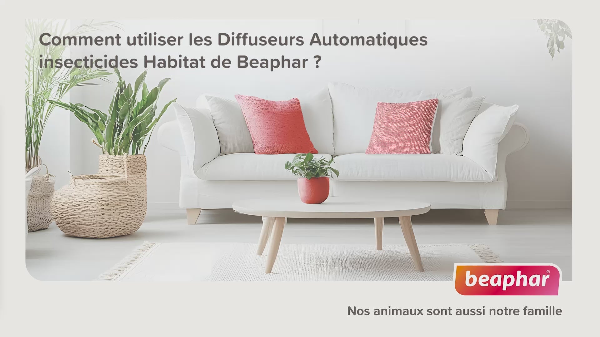 Fogger Insecticide Habitation