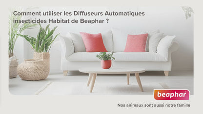 Fogger Insecticide Habitation