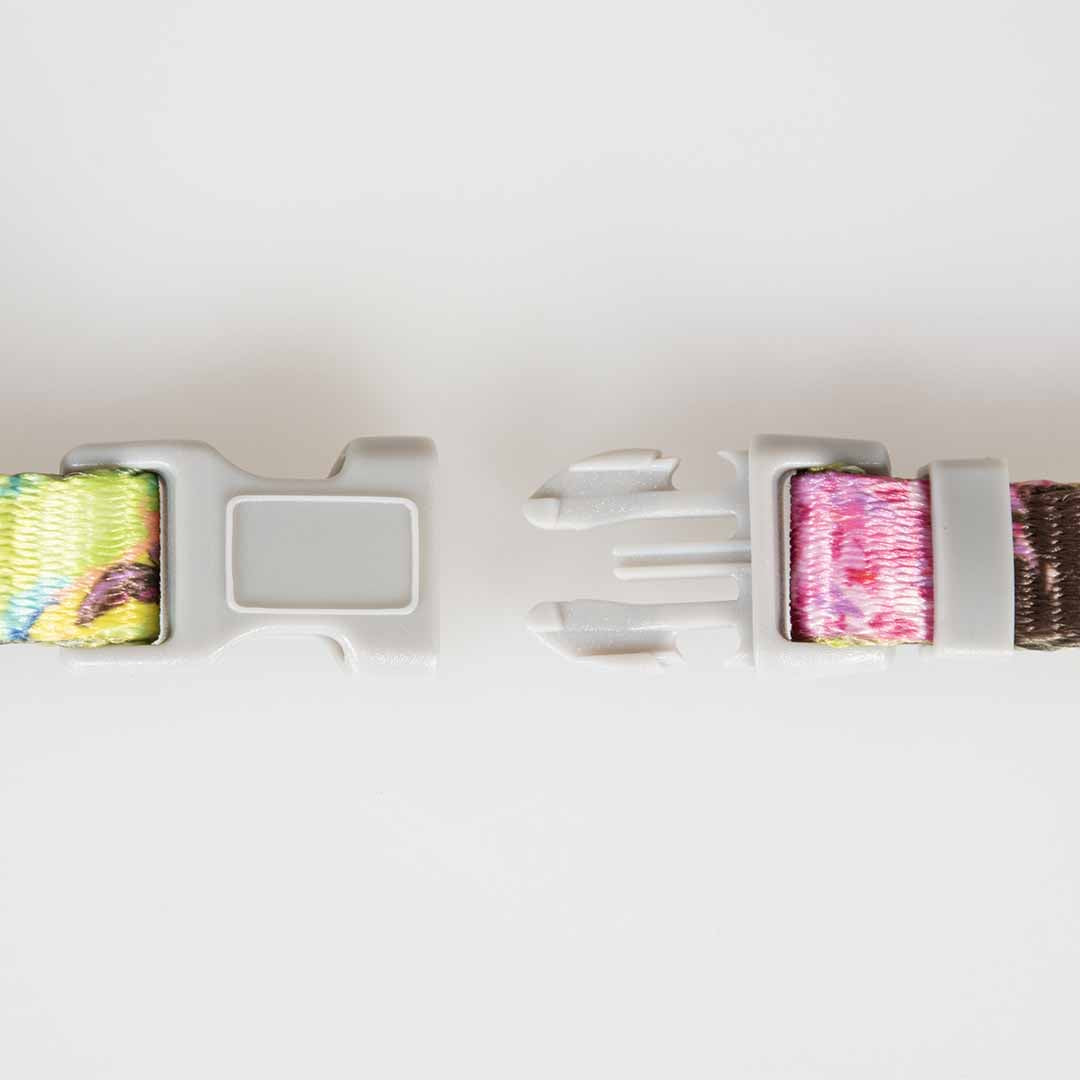 Harnais+laisse chat Indian Splash