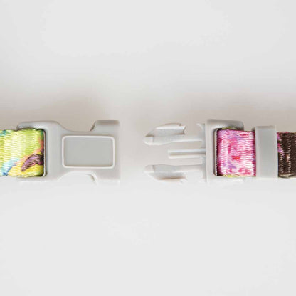 Harnais+laisse chat Indian Splash