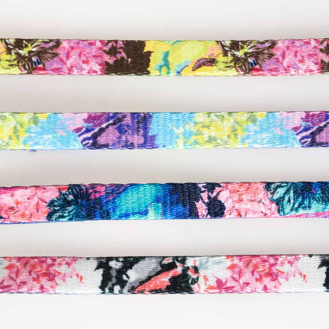 Harnais+laisse chat Indian Splash