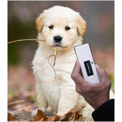 Mini lecteur électronique de puce d&