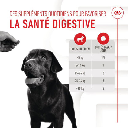 Aliment complémentaire Adult Digestion Chews pour chien