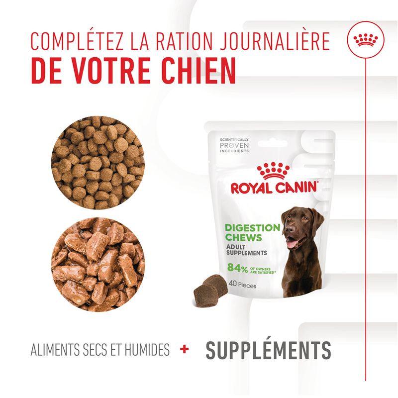 Aliment complémentaire Adult Digestion Chews pour chien