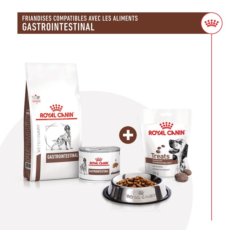 Royal Canin Gastrointestinal Treats pour chien