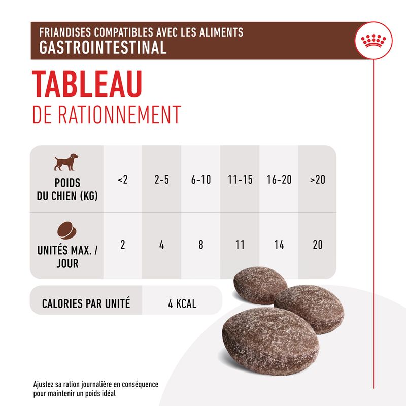 Royal Canin Gastrointestinal Treats pour chien