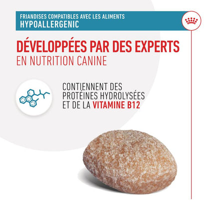 Royal Canin Hypoallergenic Treats pour chien