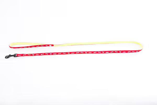 Laisse chat bicolore