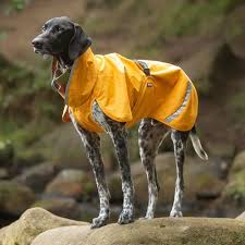 Pomppa Sade manteau imperméable pour chien Curry