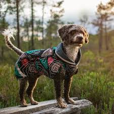 Pomppa Sade manteau imperméable pour chien Kartta