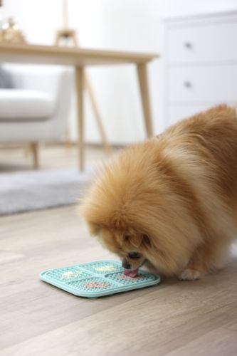 Tapis à lecher 20x20 turquoise