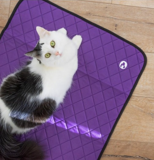 Tapis d&