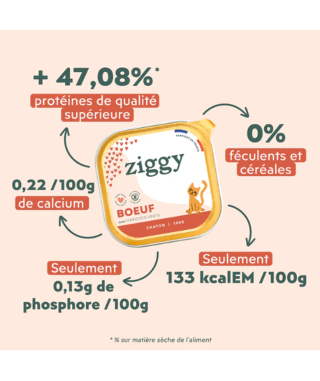Ziggy Chaton Boeuf Pâtée