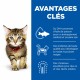 Alimentation pour chat - HILL'S Science Plan Kitten au Poulet - Croquettes pour chaton pour chats