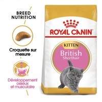 Croquettes pour chat - Royal Canin British Shorthair Kitten British Shorthair Kitten